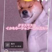 ヒメ日記 2024/12/17 11:35 投稿 本上 横浜おかあさん