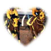 ヒメ日記 2024/12/26 11:11 投稿 本上 横浜おかあさん