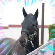 ヒメ日記 2024/12/28 13:25 投稿 本上 横浜おかあさん