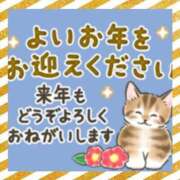 ヒメ日記 2024/12/31 20:20 投稿 本上 横浜おかあさん