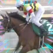 ヒメ日記 2025/01/05 18:34 投稿 本上 横浜おかあさん