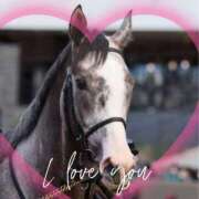 ヒメ日記 2025/01/06 23:25 投稿 本上 横浜おかあさん