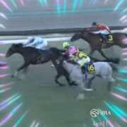 ヒメ日記 2025/01/13 20:55 投稿 本上 横浜おかあさん