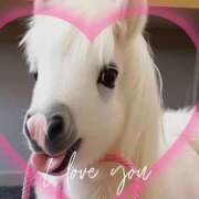 ヒメ日記 2025/01/14 21:05 投稿 本上 横浜おかあさん