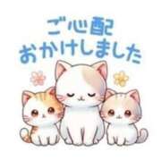 ヒメ日記 2025/01/17 14:42 投稿 本上 横浜おかあさん