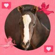 ヒメ日記 2025/01/17 21:05 投稿 本上 横浜おかあさん