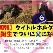 ヒメ日記 2025/01/19 12:35 投稿 本上 横浜おかあさん