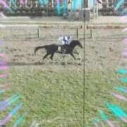 ヒメ日記 2025/01/20 00:25 投稿 本上 横浜おかあさん