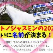 ヒメ日記 2025/01/31 14:25 投稿 本上 横浜おかあさん