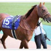 ヒメ日記 2025/01/31 15:01 投稿 本上 横浜おかあさん