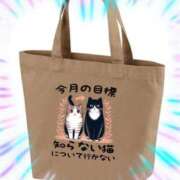 ヒメ日記 2025/02/08 11:02 投稿 本上 横浜おかあさん