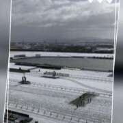 ヒメ日記 2025/02/09 10:55 投稿 本上 横浜おかあさん