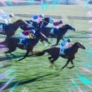 ヒメ日記 2025/02/09 22:15 投稿 本上 横浜おかあさん