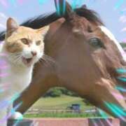 ヒメ日記 2025/02/12 12:05 投稿 本上 横浜おかあさん