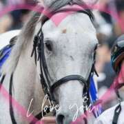 ヒメ日記 2025/02/17 14:45 投稿 本上 横浜おかあさん