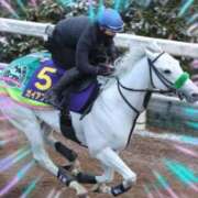 ヒメ日記 2025/02/21 13:35 投稿 本上 横浜おかあさん