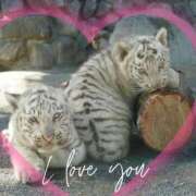 ヒメ日記 2025/02/22 22:05 投稿 本上 横浜おかあさん