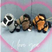 ヒメ日記 2025/02/24 14:21 投稿 本上 横浜おかあさん