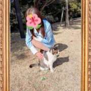 ヒメ日記 2025/03/01 23:55 投稿 本上 横浜おかあさん