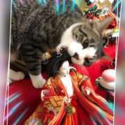 ヒメ日記 2025/03/03 11:55 投稿 本上 横浜おかあさん