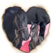 ヒメ日記 2025/03/06 08:55 投稿 本上 横浜おかあさん