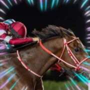 ヒメ日記 2025/03/11 10:05 投稿 本上 横浜おかあさん