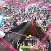 ヒメ日記 2025/03/12 17:25 投稿 本上 横浜おかあさん