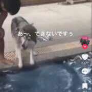 ヒメ日記 2025/03/12 18:25 投稿 本上 横浜おかあさん