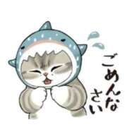 ヒメ日記 2025/03/14 14:05 投稿 本上 横浜おかあさん