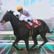 ヒメ日記 2025/03/16 21:35 投稿 本上 横浜おかあさん