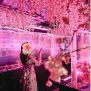 ヒメ日記 2025/03/18 11:25 投稿 本上 横浜おかあさん