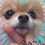 ヒメ日記 2025/03/18 12:05 投稿 本上 横浜おかあさん