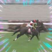 ヒメ日記 2025/03/18 19:05 投稿 本上 横浜おかあさん