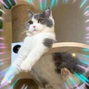 ヒメ日記 2025/03/19 13:49 投稿 本上 横浜おかあさん