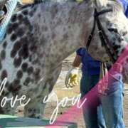 ヒメ日記 2025/03/21 08:55 投稿 本上 横浜おかあさん