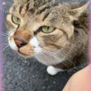 ヒメ日記 2025/03/21 17:55 投稿 本上 横浜おかあさん