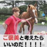 ヒメ日記 2025/03/23 00:15 投稿 本上 横浜おかあさん