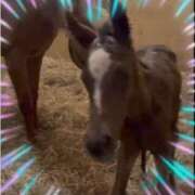 ヒメ日記 2025/03/25 19:25 投稿 本上 横浜おかあさん