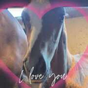 ヒメ日記 2025/03/27 17:55 投稿 本上 横浜おかあさん