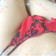 ヒメ日記 2025/04/06 23:25 投稿 本上 横浜おかあさん