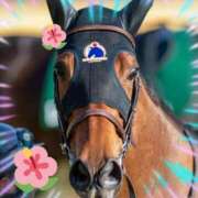 ヒメ日記 2025/04/13 16:45 投稿 本上 横浜おかあさん