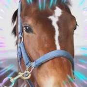 ヒメ日記 2025/04/14 19:15 投稿 本上 横浜おかあさん