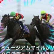 ヒメ日記 2025/04/20 20:45 投稿 本上 横浜おかあさん