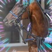 ヒメ日記 2025/04/21 13:45 投稿 本上 横浜おかあさん