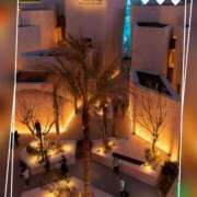 ヒメ日記 2025/04/23 18:55 投稿 本上 横浜おかあさん