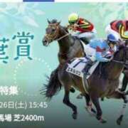 ヒメ日記 2025/04/26 12:05 投稿 本上 横浜おかあさん