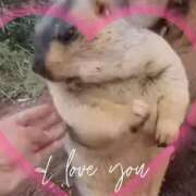 ヒメ日記 2025/04/28 12:08 投稿 本上 横浜おかあさん