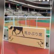 ヒメ日記 2025/05/06 11:55 投稿 本上 横浜おかあさん