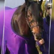 ヒメ日記 2025/05/06 13:55 投稿 本上 横浜おかあさん