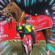 ヒメ日記 2025/05/09 16:35 投稿 本上 横浜おかあさん